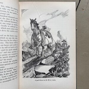 1946 Our American Horse Mustang Pony New World Draft Work Horse Thoroughbred